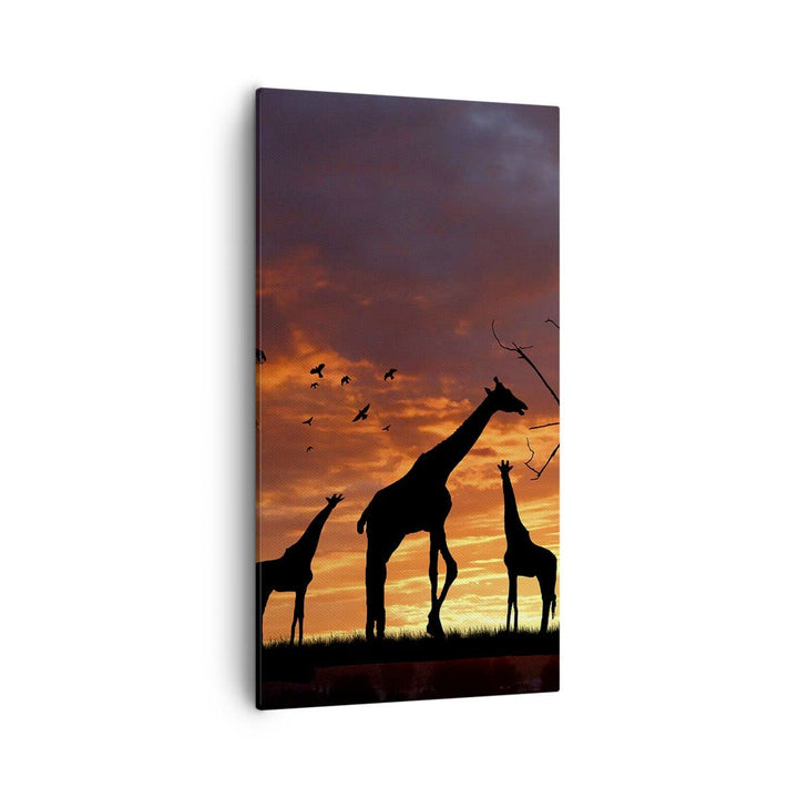 Bilder auf Leinwand 55x100cm Leinwandbild mit Rahmen Giraffe Afrika Sonne Safari Gross Wanddeko Bild