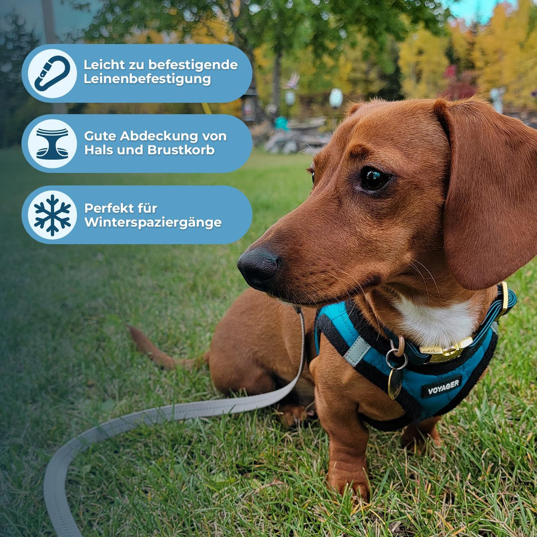 Voyager Step-In Plüsch-Hundegeschirr by Best Pet Supplies - Step-In-Westengeschirr für kleine und mi