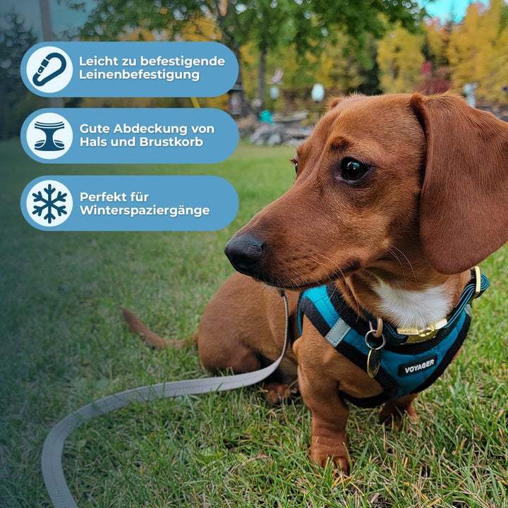 Voyager Step-In Plüsch-Hundegeschirr by Best Pet Supplies - Step-In-Westengeschirr für kleine und mi