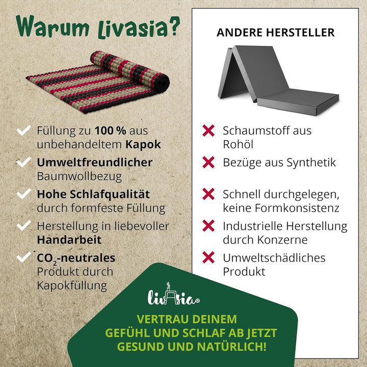 livasia Rollmatte Rollmatratze L-200x110x4,5cm, Gästebett Gästematratze 1 Person, Reisebett Kofferra