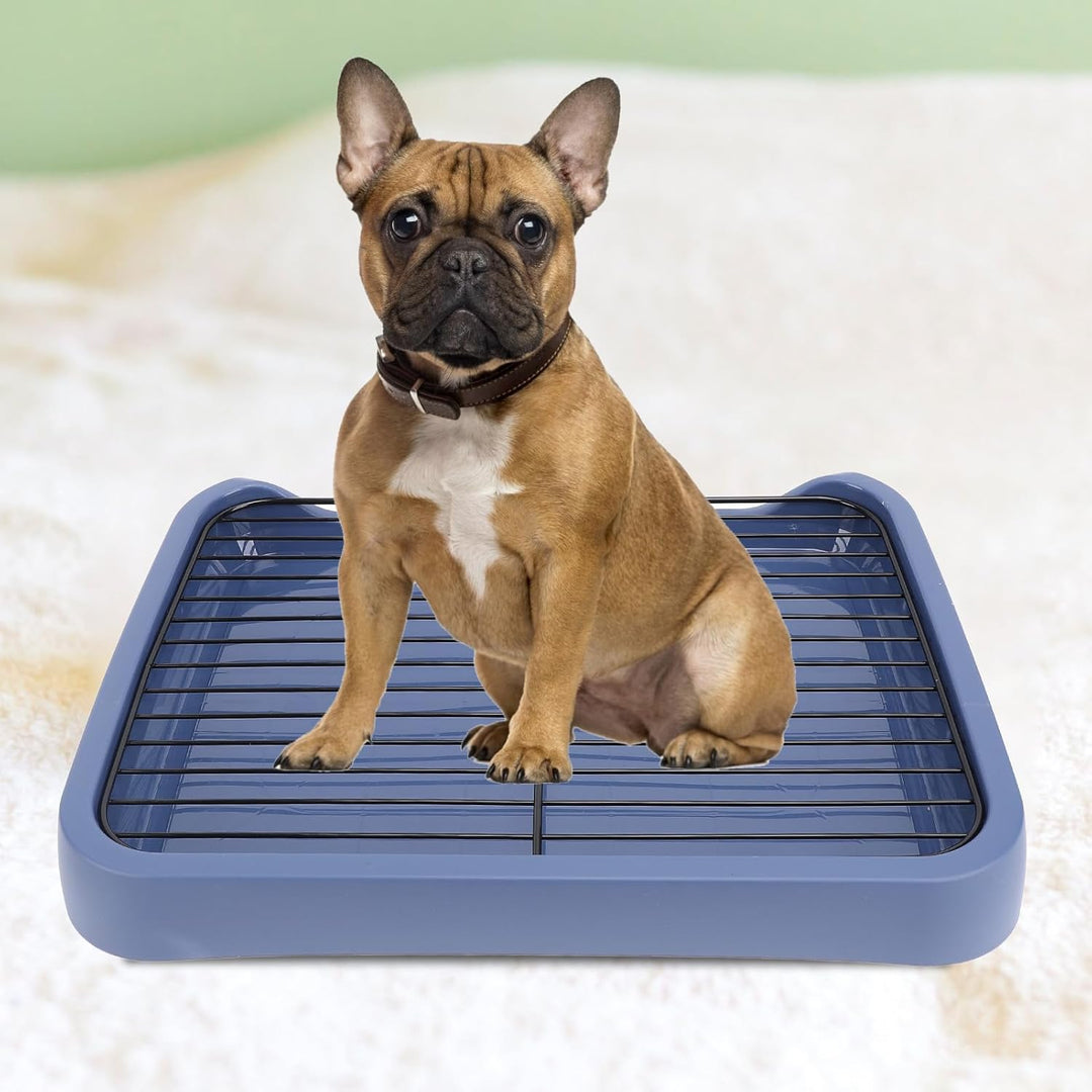 Hundetoilette, Hundetoilette, Abnehmbar Hundetoilette für Den Innenbereich Welpentoilettenunterlage