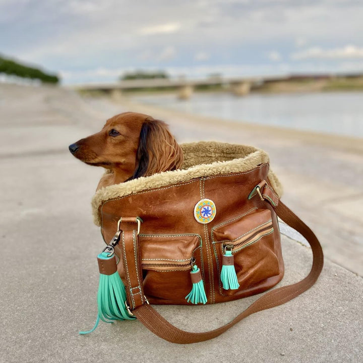 Hundetasche | Hundetragetasche für kleine Hunde | Welpentasche | Transporttasche | Hundereisetasche