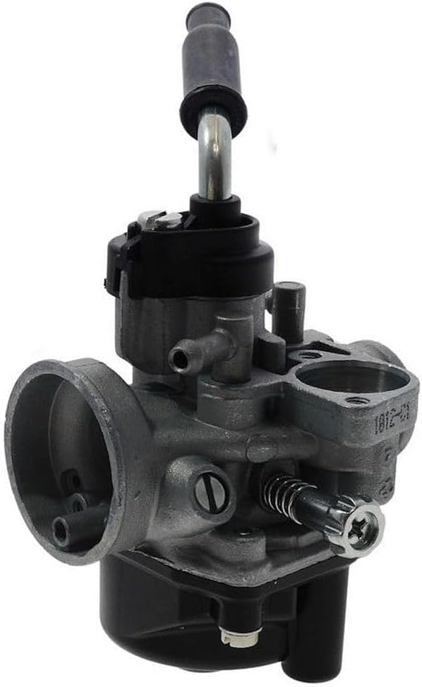 Vergaser DELLORTO 17,5mm für E-Choke - Piaggio-NRG 50 mc² Extreme DD LC 99-02 ZAPC220