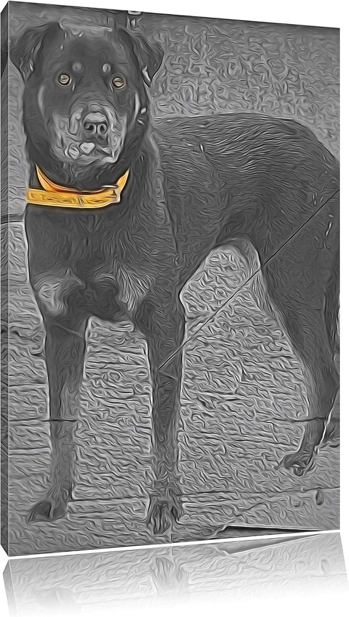prächtiger grosser Rottweiler schwarz/weiss Deluxe Format: 100x70 cm auf Leinwand, XXL riesige Bilde