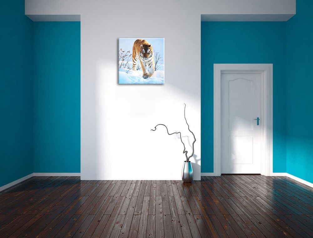 Stolzer Tiger im Schnee, Format: 70x70 auf Leinwand, XXL riesige Bilder fertig gerahmt mit Keilrahme