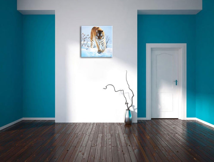 Stolzer Tiger im Schnee, Format: 70x70 auf Leinwand, XXL riesige Bilder fertig gerahmt mit Keilrahme