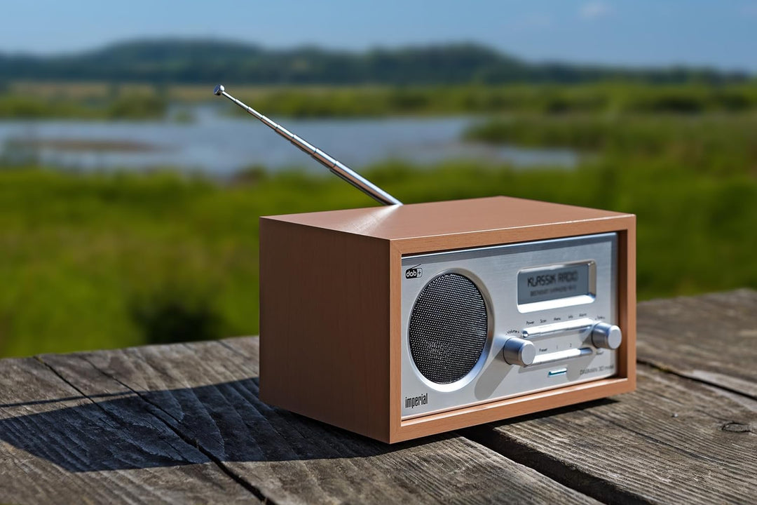 IMPERIAL DABMAN 30 mobil – Tragbares DAB+ Digitalradio & UKW-Radio (Akku, Powerbank, Bluetooth 5.1,