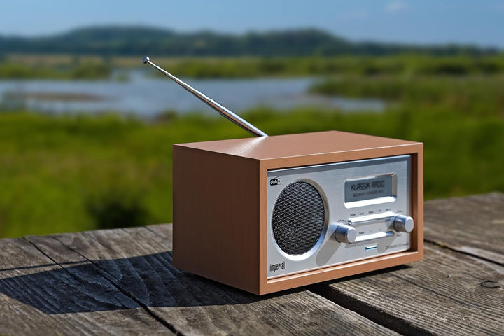 IMPERIAL DABMAN 30 mobil – Tragbares DAB+ Digitalradio & UKW-Radio (Akku, Powerbank, Bluetooth 5.1,