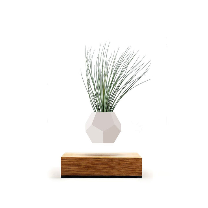 FLYTE Lyfe Dekoration, Glas, Weiss/Eiche, 15.5 x 15.5 cm, Weiss/Eiche