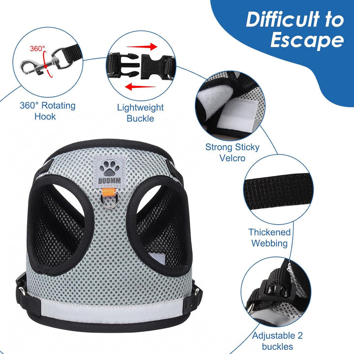 Katzen Geschirr Set mit Leine,Automatischem Katzengeschirr für Kleine Hunde mit 5 m/16,4 Fuss,Katzen