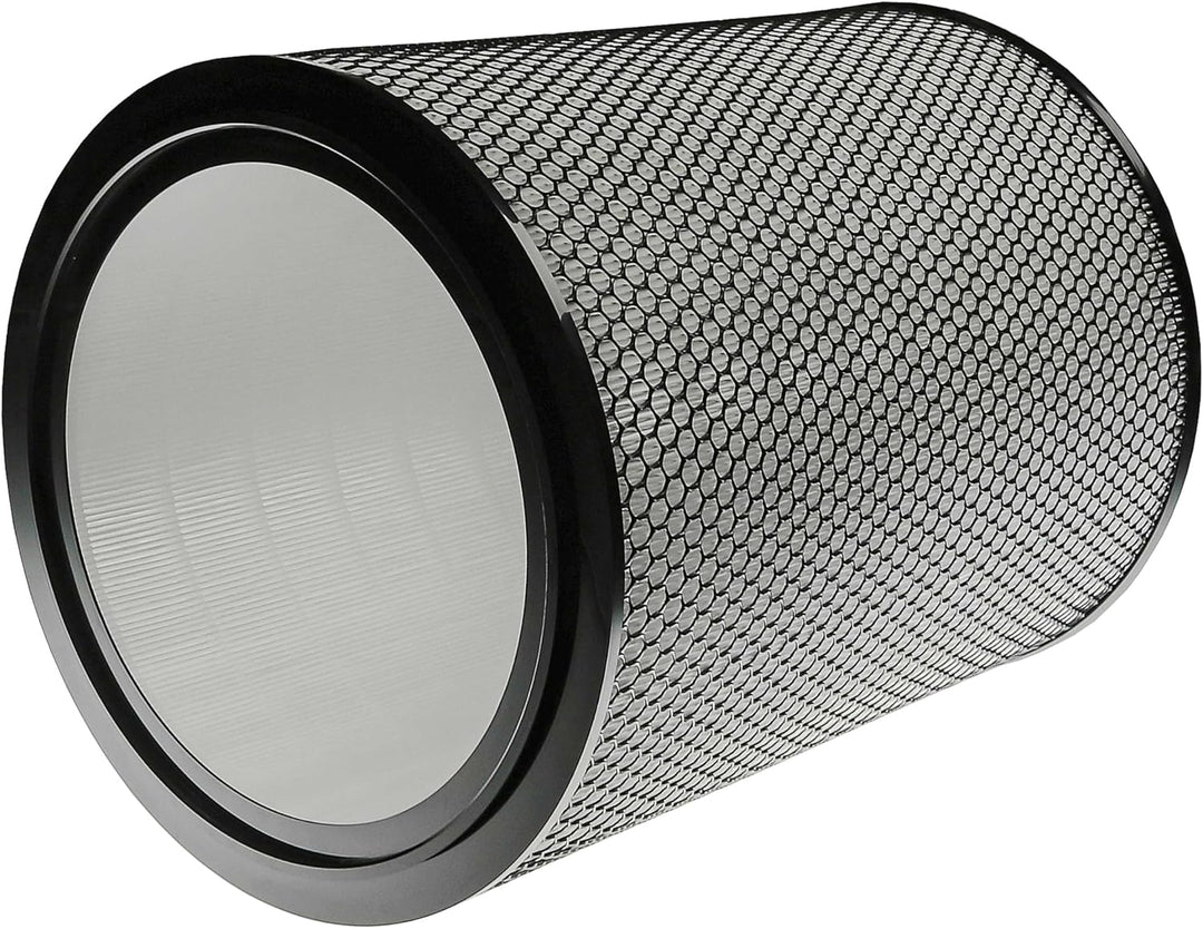 vhbw H13 Filter kompatibel mit Dyson Purifier Big+Quiet Formaldehyde BP04 Luftreiniger - Ersatz-Filt