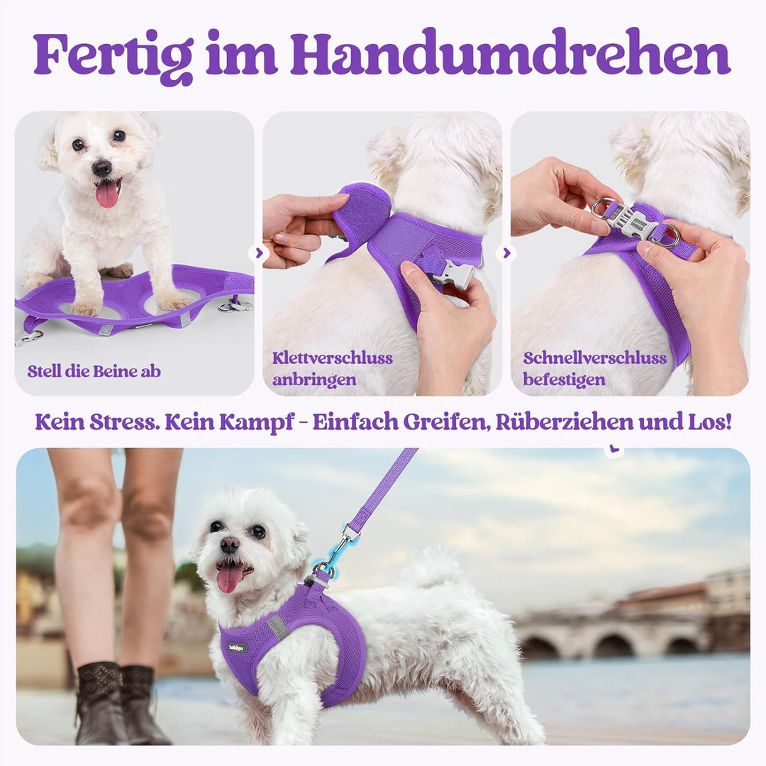 rabbitgoo Hundegeschirr Kleine Hunde mit Leine, Step-in Welpengeschirr Weich Mesh für Spaziergänge,