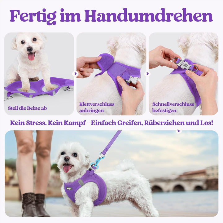 rabbitgoo Hundegeschirr Kleine Hunde mit Leine, Step-in Welpengeschirr Weich Mesh für Spaziergänge,