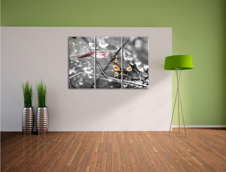 Pixxprint Spinnennetz mit Wassertropfen B&W Detail 3-Teiler Leinwandbild 120x80 Bild auf Leinwand