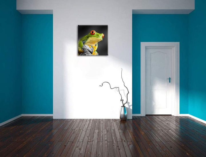 Pixxprint schöner Rotaugen Frosch als Leinwandbild/Grösse: 70x70 cm/Wandbild/Kunstdruck/fertig bespa