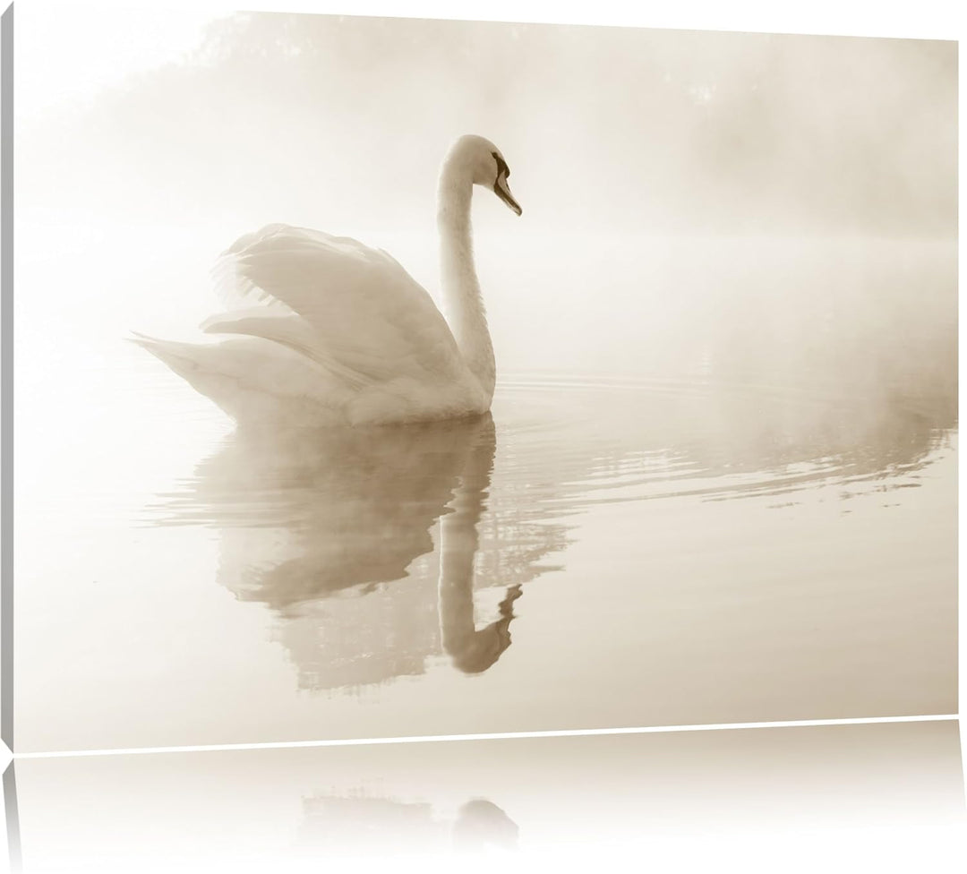Weisser Schwan im Morgennebel Format: 100x70 auf Leinwand, XXL riesige Bilder fertig gerahmt mit Kei