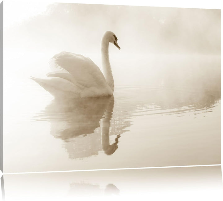 Weisser Schwan im Morgennebel Format: 100x70 auf Leinwand, XXL riesige Bilder fertig gerahmt mit Kei