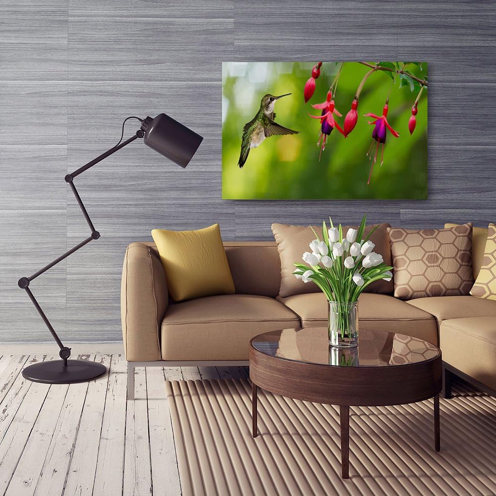 Feeby Frames, Leinwandbild, Bilder, Wand Bild, Wandbilder, Kunstdruck 50x70cm, VOGEL, KOLIBRI, TIERE