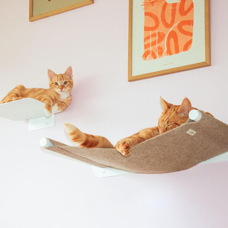 LucyBalu® Katzenhängematte mit natürlichem Filz | Hängematte für Katzen als Katzenbett an der Wand I