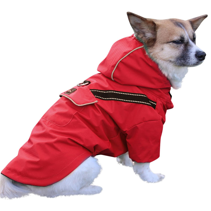 Premium-Regenmantel Mit Kapuze für Mittelgrosse Hunde, Outdoor-Sport, Wasserdichte Regenjacke, Welpe