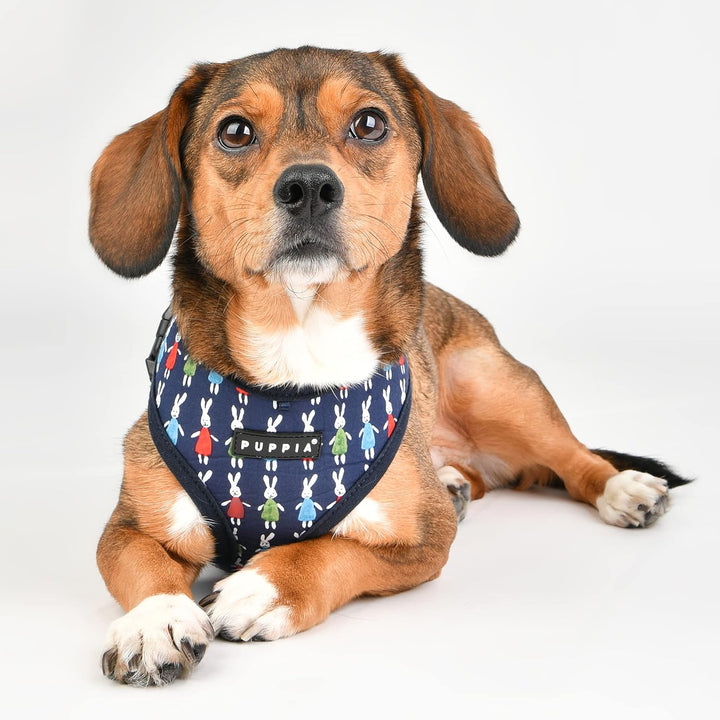 Puppia Hundegeschirr - Mollie Geschirr A – für kleine und mittelgrosse Hunde navy L, navy L
