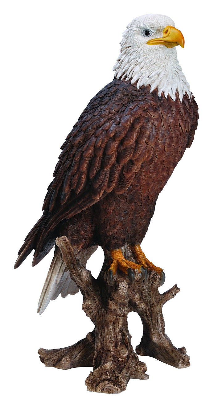 Vivid Arts XRL-BLDE-B Amerikanischer Weisskopfseeadler, Kunstharz Gartendeko