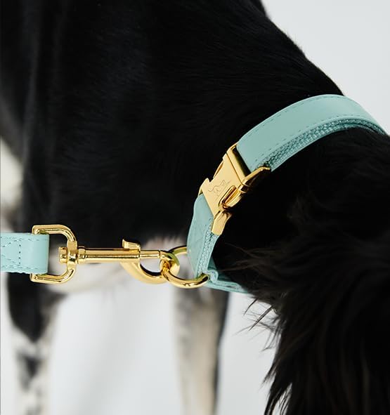 VELVETIER® "Paris" | Halsband Hund im Set mit Leine &amp; Beutelspender | Veganes Leder | Hunde Halsbänd