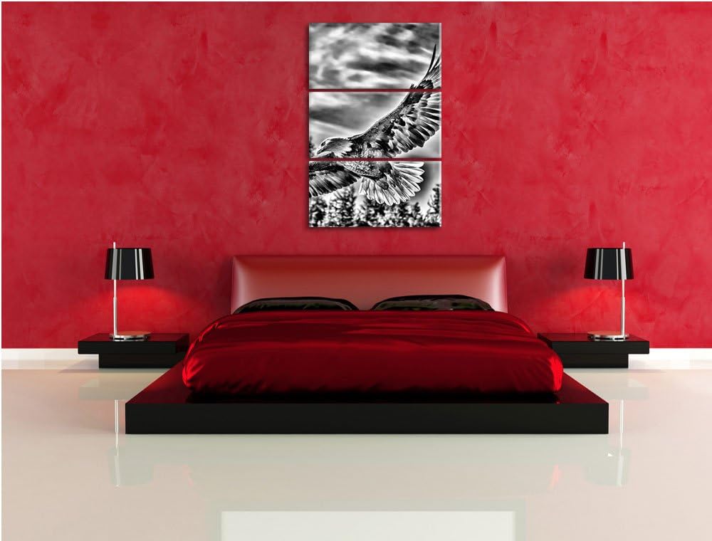 Pixxprint Adler als Leinwandbild | Grösse: 3 Teilig (120x80) | Wandbild| Kunstdruck | fertig bespann