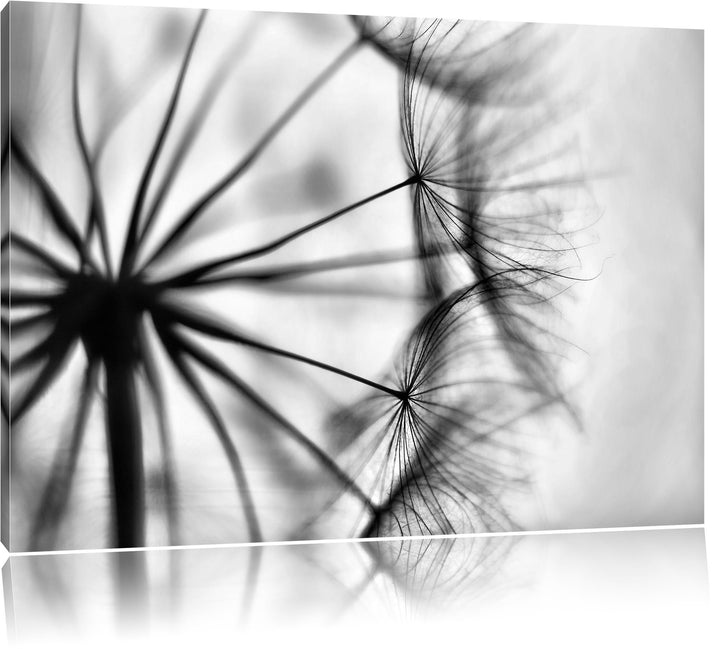 Pixxprint Weisse Pusteblumen/Format: 100x70cm / Leinwandbild fertig bespannt Wandbild Kunstdruck, 10
