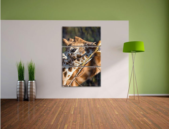 Pixxprint fressende Giraffe als Leinwandbild/Grösse: 3 Teilig (120x80) cm/Wandbild/Kunstdruck/fertig