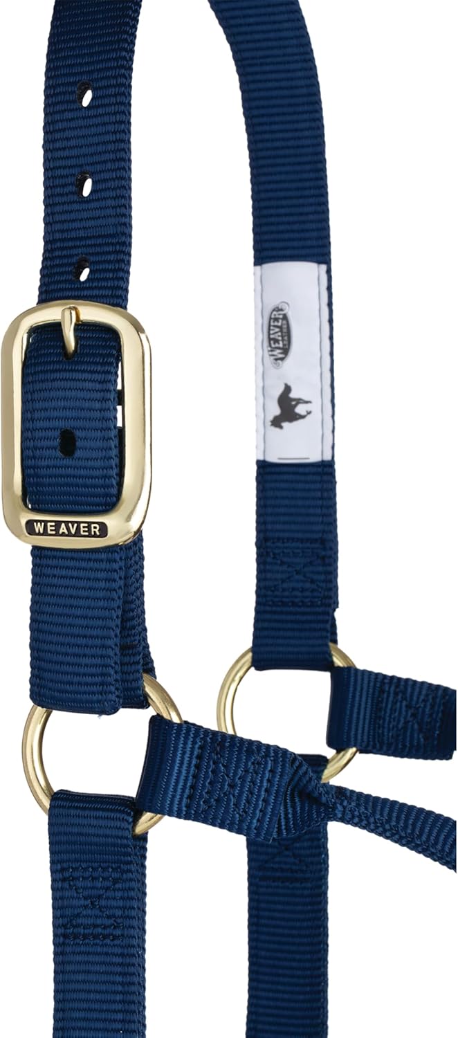 WEAVER Leather, Nicht verstellbares Halfter Marineblau Small Horse, Marineblau Small Horse