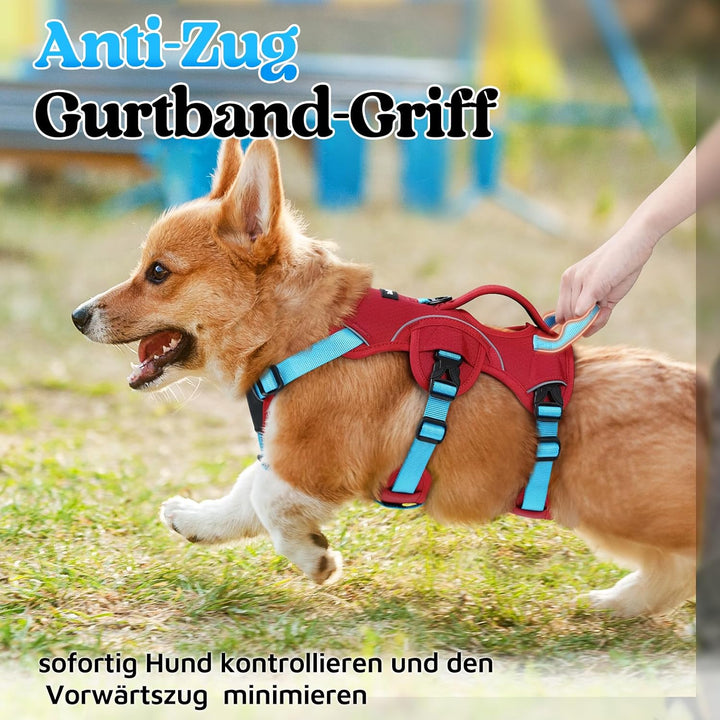 rabbitgoo Hundegeschirr Mittelgrosse Hunde，Sicherheitsgeschirr Hund | Sicherer Hebegriff, einfache K
