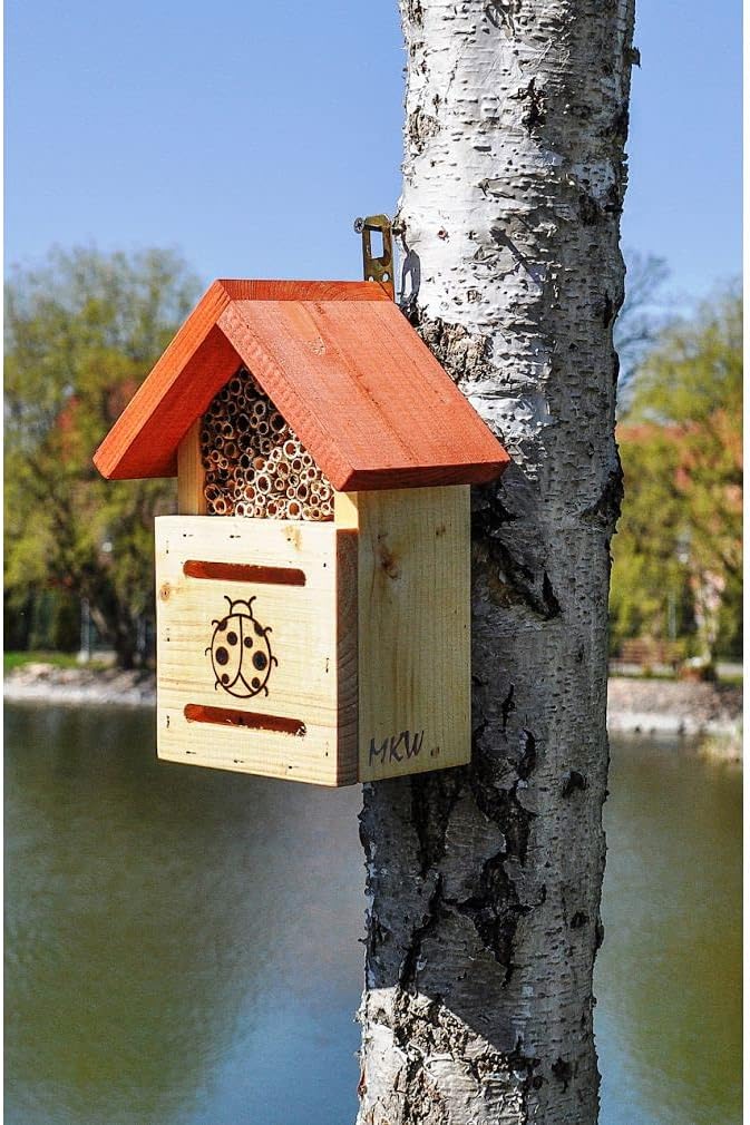 Insektenotel Für Marienkäfer MKW 2IN1