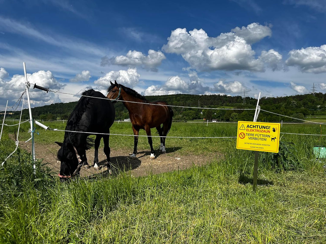 5 Stück XXL Achtung ! Elektrozaun Tiere füttern Weide betreten verboten Schild 30 x 40 cm aus stabil