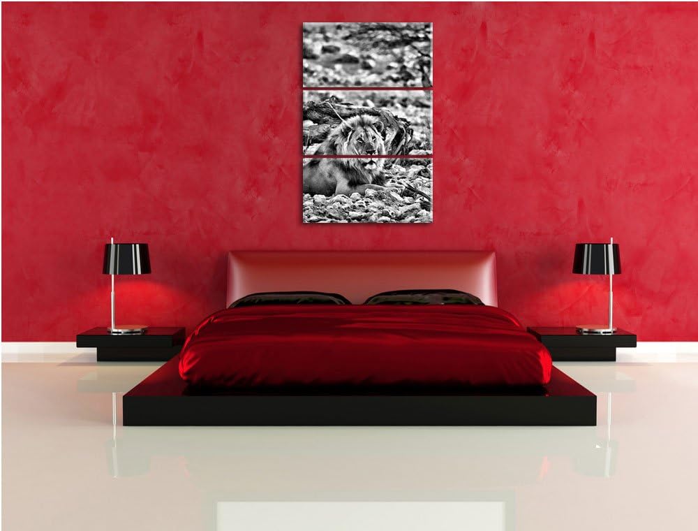 Pixxprint Löwe in Steinlandschaft als Leinwandbild/Grösse: 3 Teilig (120x80) cm/Wandbild/Kunstdruck/