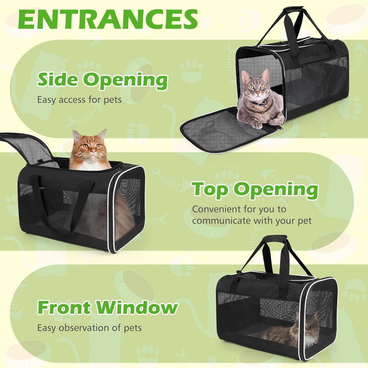 Lannvan Transportbox Katze, Katzentransportbox bis 6,5kg, Hundebox Faltbar Atmungsaktiv, mit Abnehmb