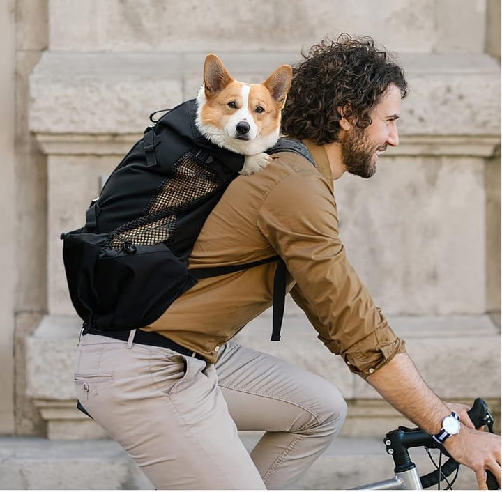 PETCUTE Hundetasche Hundetransporttasche Tragetasche füR Hunde Katzen Wanderrucksack Seite Atmungsak