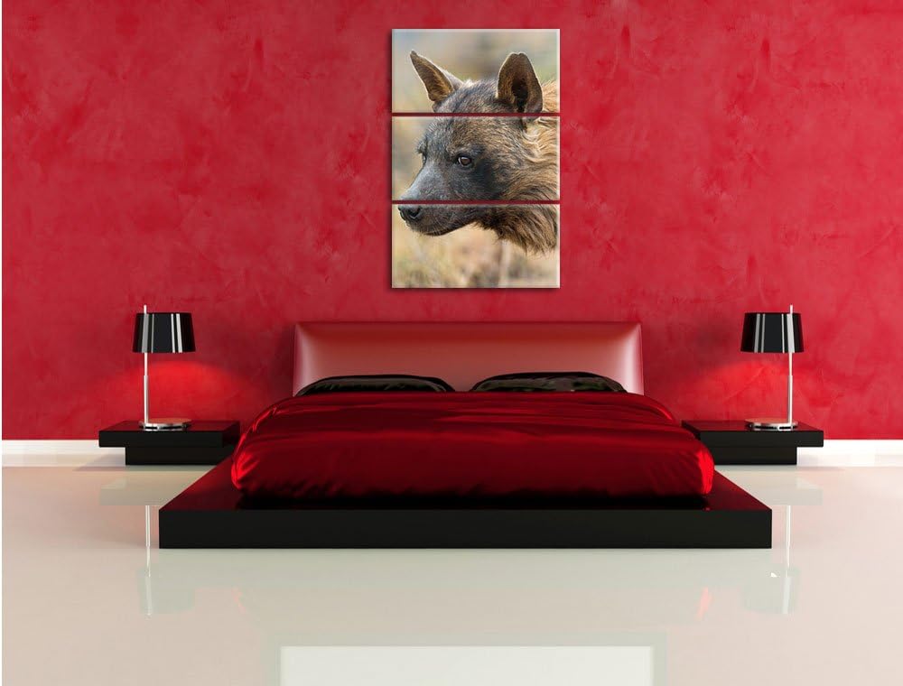 Pixxprint anmutige Hyäne im Wildgras als Leinwandbild/Grösse: 3 Teilig (120x80) cm/Wandbild/Kunstdru