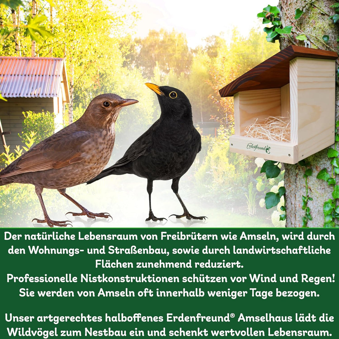 ERDENFREUND® Amsel Nistkasten halboffen extra für Freibrüter/Halbhöhlenbrüter Nistkasten Amsel artge