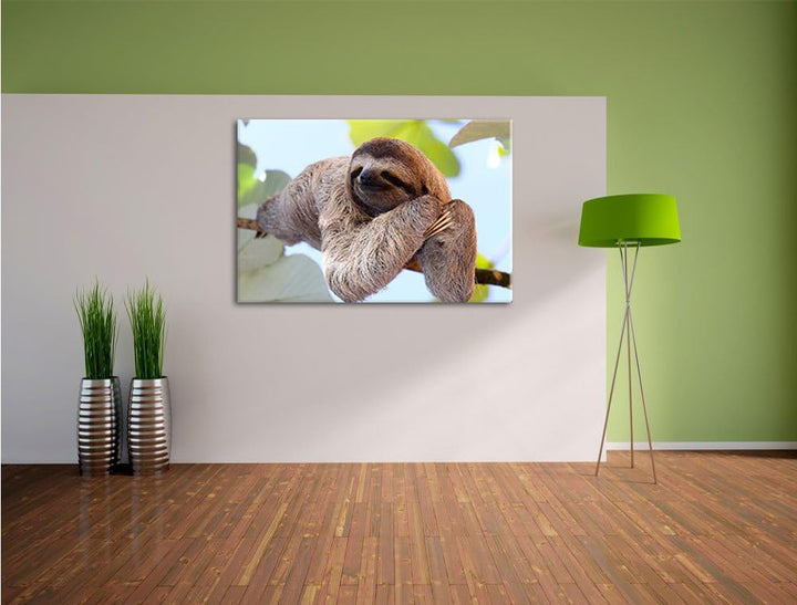 Pixxprint schönes Faultier hängt von AST als Leinwandbild/Grösse: 100x70 cm/Wandbild/Kunstdruck/fert