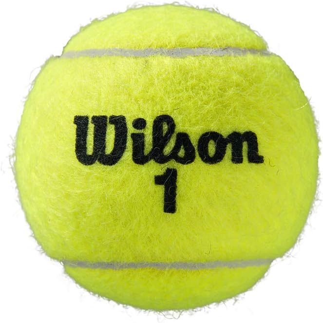 Wilson Roland Garros Offizielle Bälle 8 Bälle Sandplätze, 8 Bälle Sandplätze