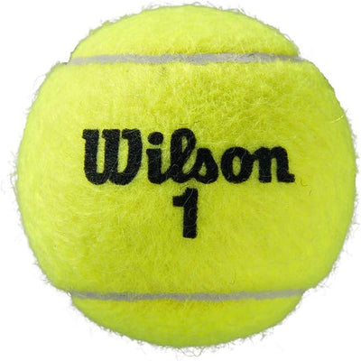 Wilson Unisex-Adult Roland Garros All Court Tennisbälle Yellow 3 Bälle (Packung mit 4) Single, Yello