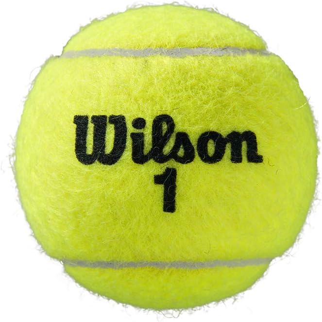 Wilson Unisex-Adult Roland Garros All Court Tennisbälle Yellow 3 Bälle (Packung mit 4) Single, Yello