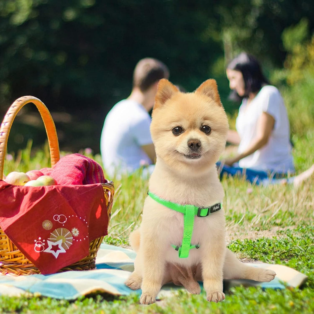 Pupteck zerrfreies Hundegeschirr, weich, verstellbar, Nylon, Step-in-Hundegeschirr für das Outdoor-G