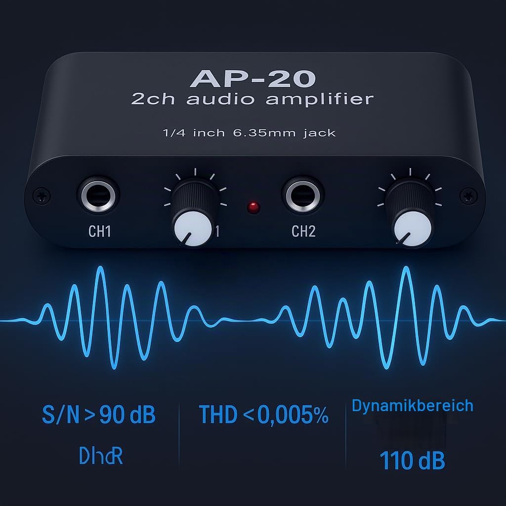 Professional Doppelk-Soundverstärker, Eingang von 20 dB Eingang von 20 dB mit variabler Leistung DC