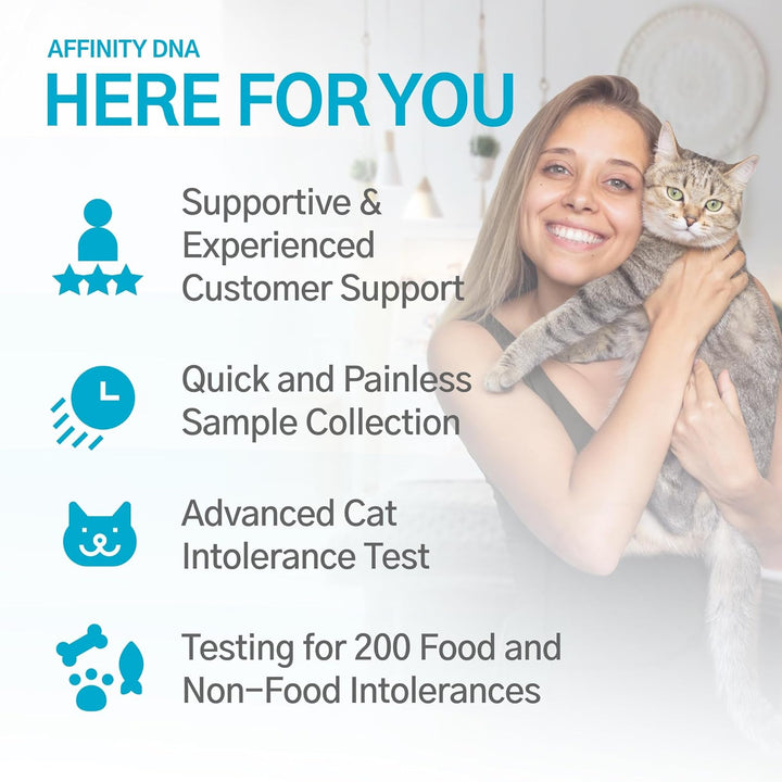 Katzen-Intoleranztest für 200 Lebensmittel und Nichtlebensmittel | Probenentnahmekit für 1 Katze für