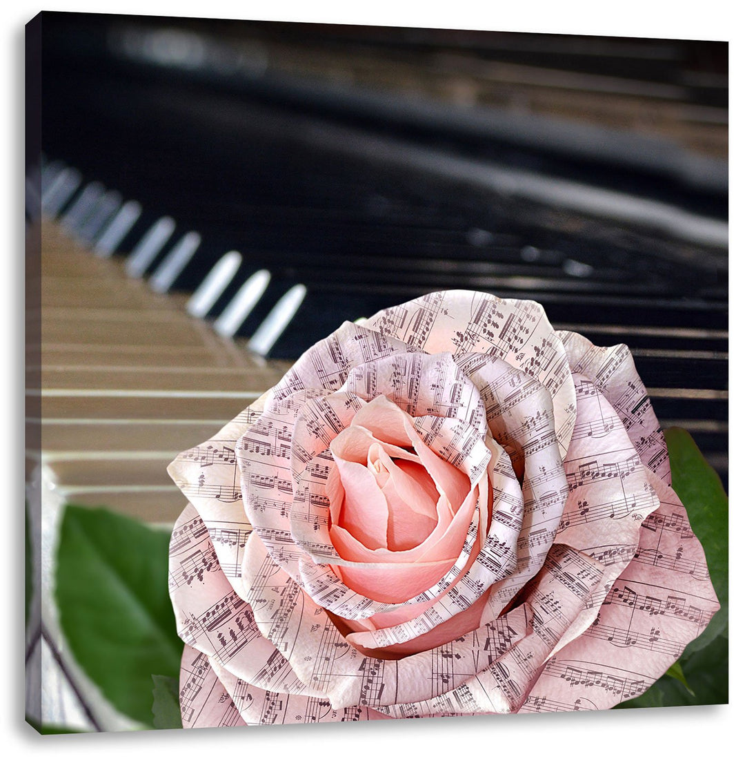 Pixxprint Noten auf zarter Rose neben Klavier, Format: 70x70 auf Leinwand, 70x70