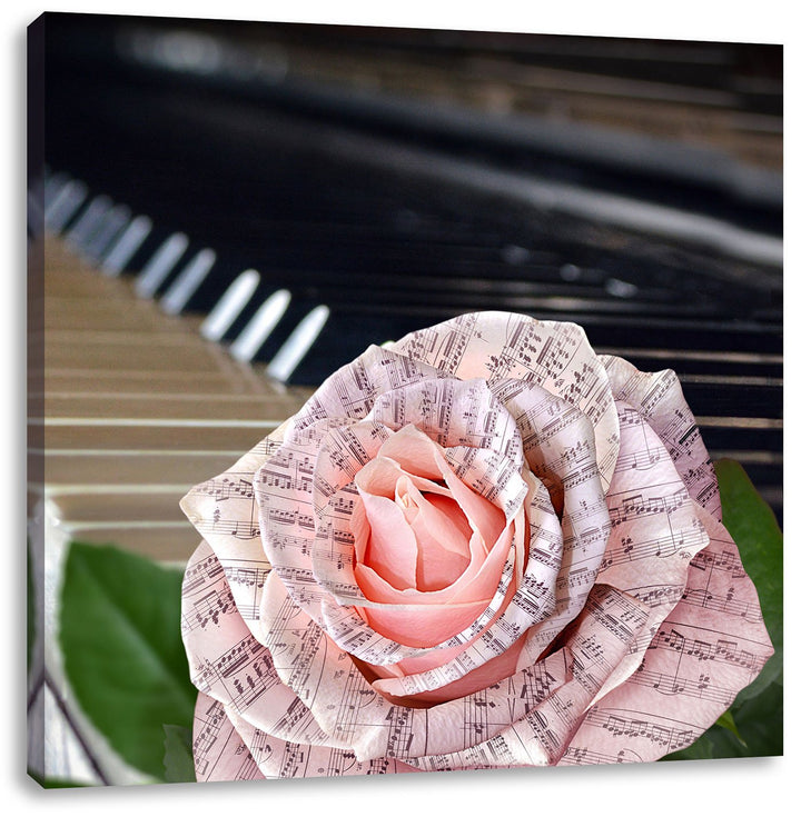 Pixxprint Noten auf zarter Rose neben Klavier, Format: 70x70 auf Leinwand, 70x70