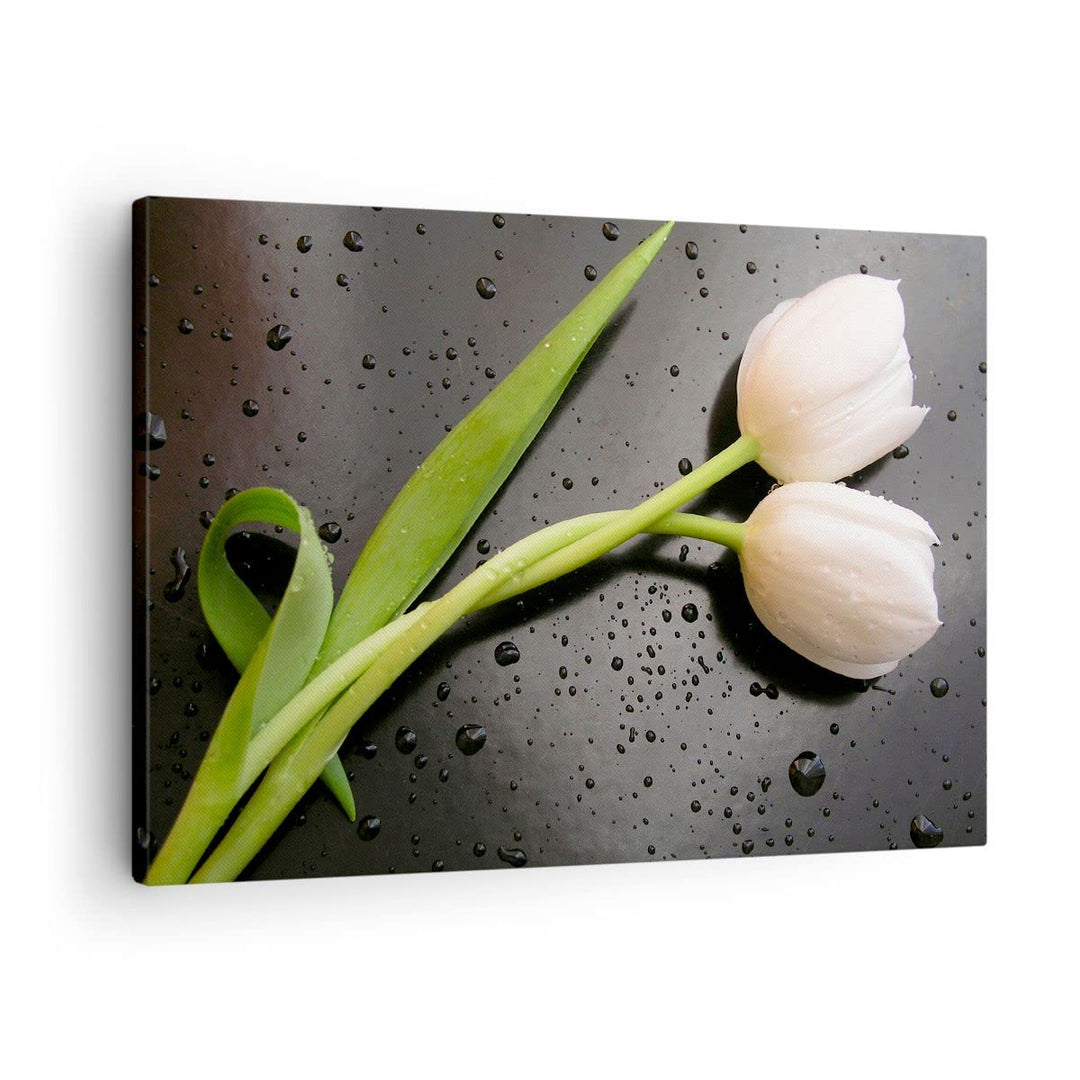 Bilder auf Leinwand Tulpen Blume Pflanzung Pflanze Leinwandbild 70x50cm Wandbilder Dekoration Wohnzi