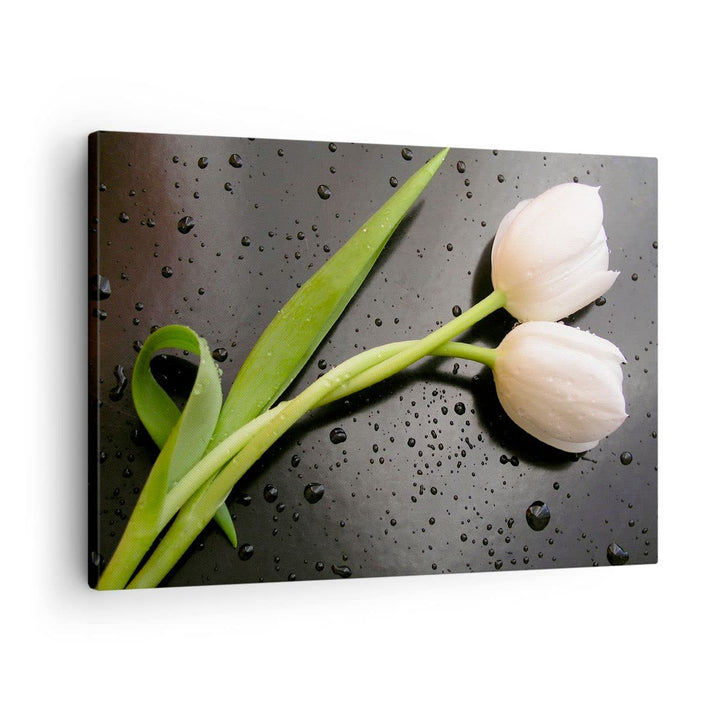 Bilder auf Leinwand Tulpen Blume Pflanzung Pflanze Leinwandbild 70x50cm Wandbilder Dekoration Wohnzi